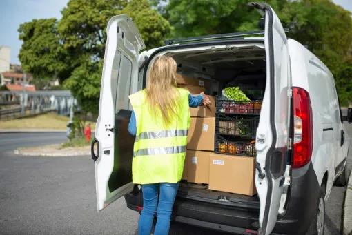 Transport de Denrées Alimentaires Périssables à Nancy – LT TRANSPORT : Votre Expert en Livraison et Transport de Produits Frais, Grand-Est, LT TRANSPORT 54